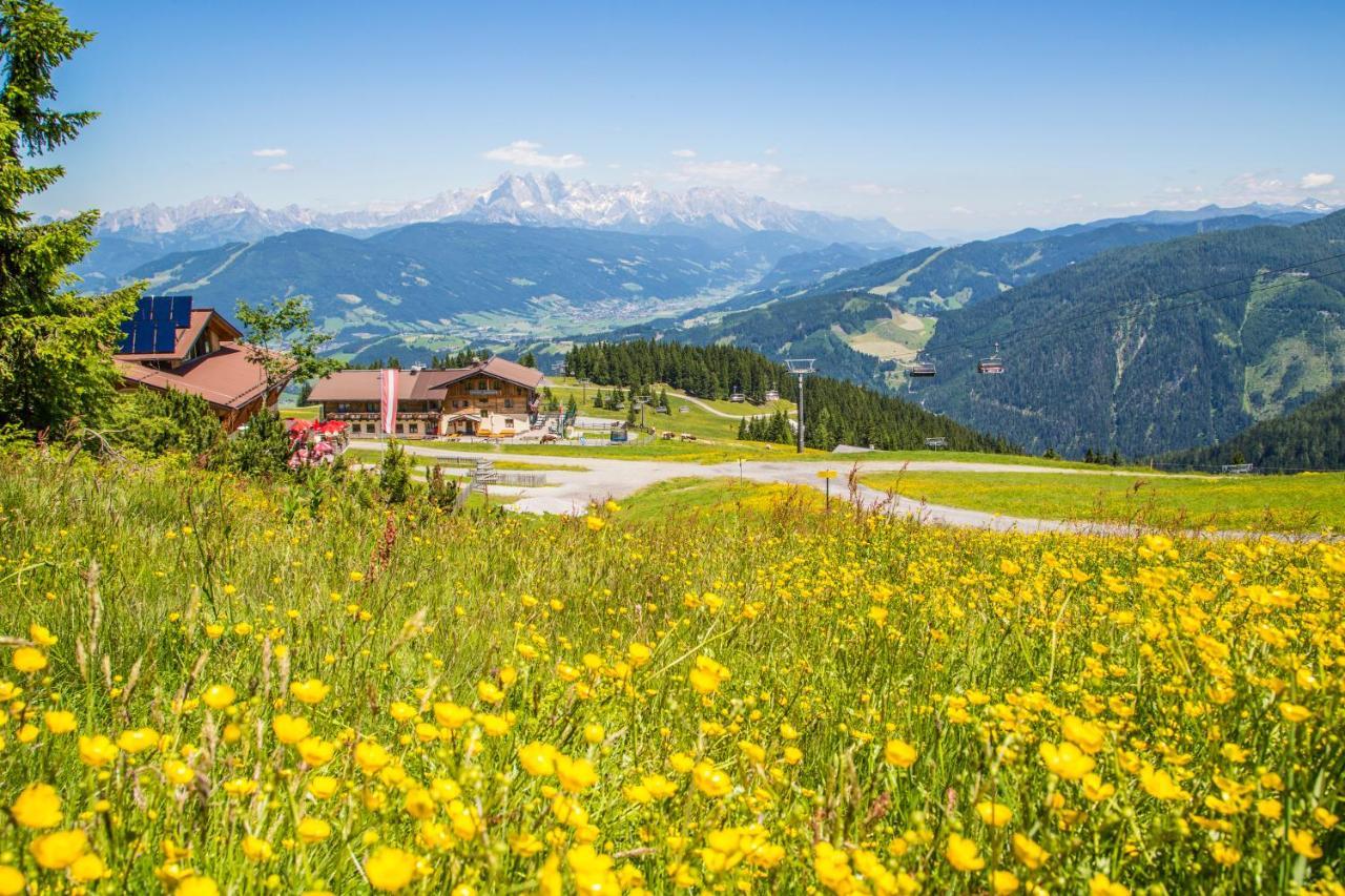 Gasthof Jandlalm Hotel Flachau Luaran gambar